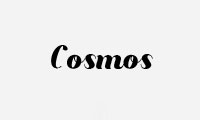 Trouwringen van merk Cosmos